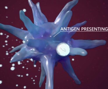 How mRNA COVID-19 Vaccines Work to Fight COVID-19