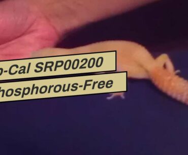 Rep-Cal SRP00200 Phosphorous-Free Calcium Ultrafine Powder Reptile/Amphibian Supplement with Vi...