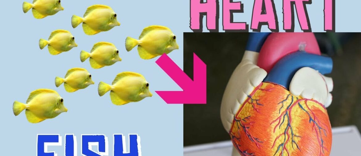 Cardiovascular Disease & Foods. Fish, Olive Oil, Tomatoes, Omega 3 fatty Acids For Longer.