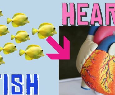 Cardiovascular Disease & Foods. Fish, Olive Oil, Tomatoes, Omega 3 fatty Acids For Longer.