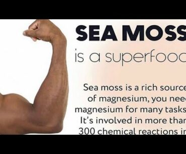 How to build a healthy immune system