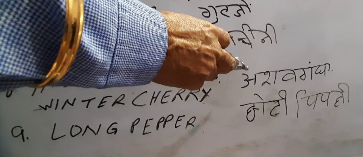 HEARBAL TEA TO BOOST YOUR IMMUNITY SYSTEM