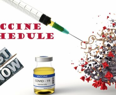 COVID-19 VACCINE RELEASE DATE OF TOP 10 COMPANIES | MUST WATCH