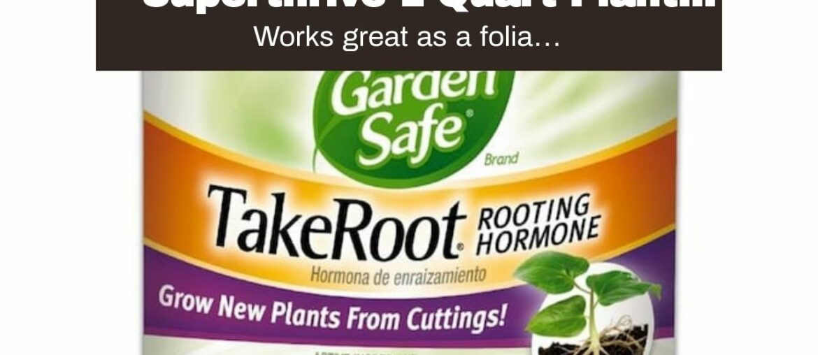 Superthrive 1 Quart Plant Vitamin and Hormone Supplement