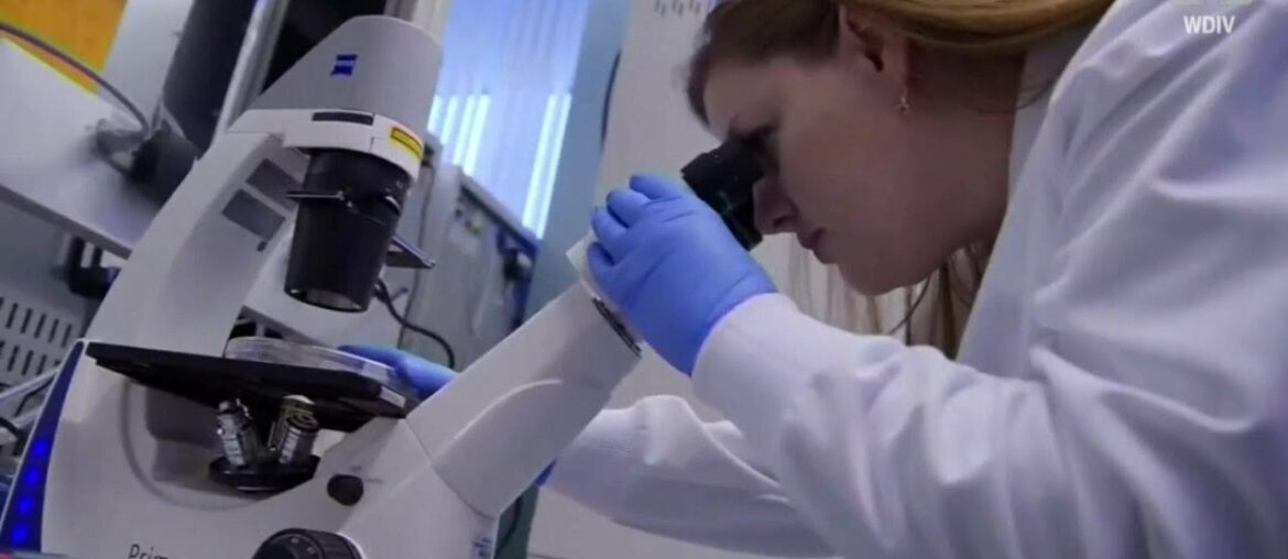 COVID-19 Immunity: How Long Do Antibodies Last?-NYCH13's NEWS