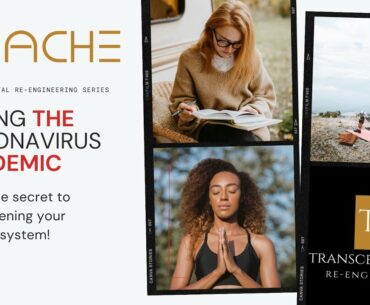 THE CORONAVIRUS PANDEMIC: HOW MEDITATION BOOSTS THE IMMUNE SYSTEM? (A GUIDE BY MAJED G TAIFOUR)