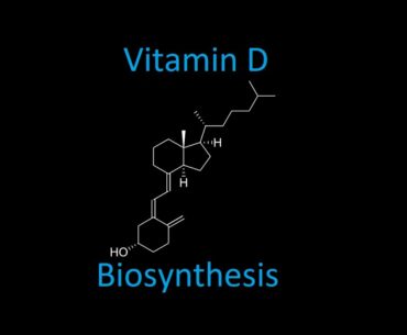 Nutrition 18 | Fat Soluble Vitamins 5 - Vitamin D