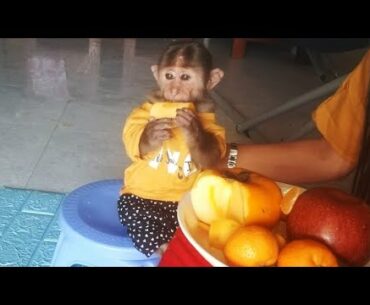 Mother supplements vitamin A for Ape with fruit