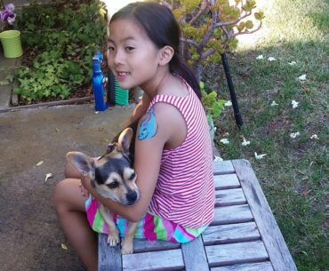 Your Child's Immune System: What They Really Don't Want You To Know