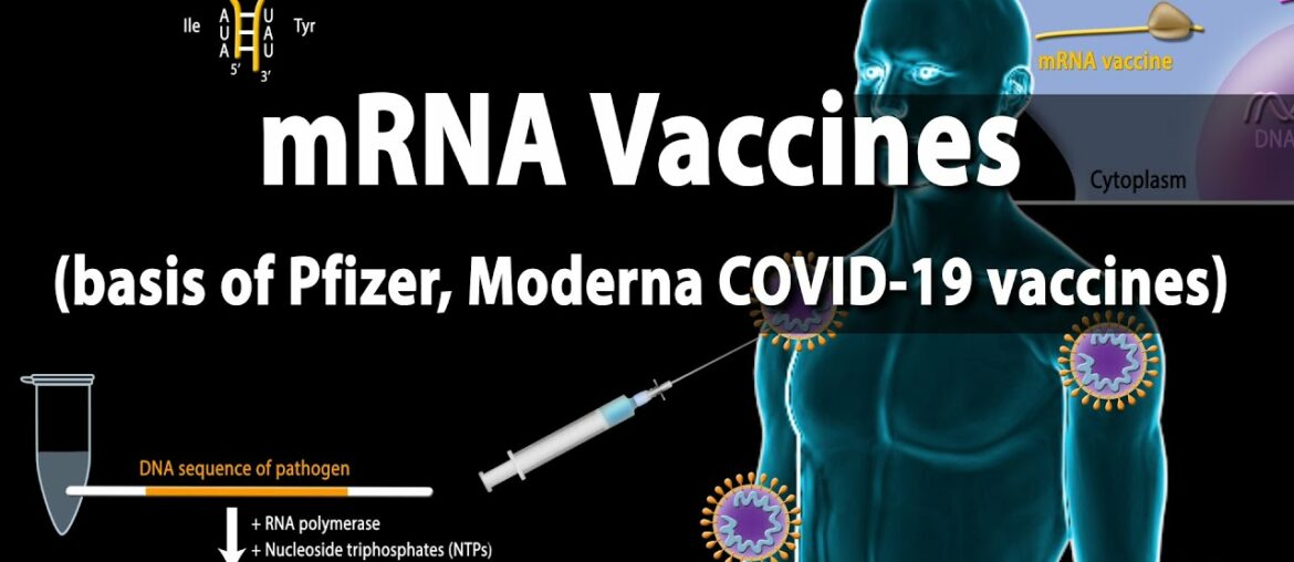 RNA Vaccines (mRNA Vaccine) - Basis of Pfizer and Moderna COVID-19 vaccines, Animation