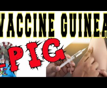 CORONA VIRUS VACCINE GUINEA PIG SPEAKS OUT... WITH CANDACE OWENS