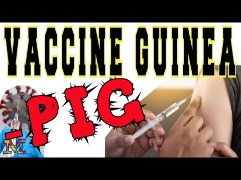 CORONA VIRUS VACCINE GUINEA PIG SPEAKS OUT... WITH CANDACE OWENS