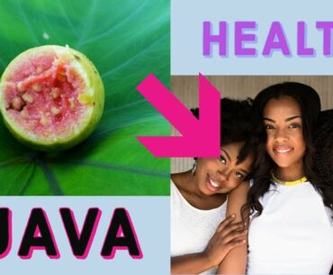 Guava Health Benefits Tropical Pink Guava, White Guava, Tropical Yellow Guava, Malaysian Guava.