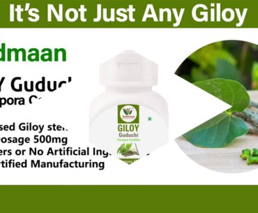 Vaddmaan Giloy - Immune Booster & Men's Wellness Supplement