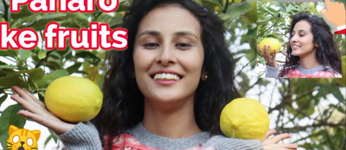 Immunity booster vitamin C rich fruits of Kumaon  **Prevent Disease**