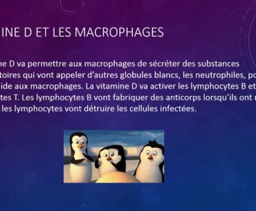 LA VITAMINE D  ET  LE  COVID19
