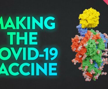 Inside the Lab That Invented the COVID-19 Vaccine