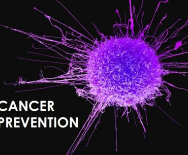 [T.E.A. Time presents ] ELEV8 WOMEN'S WELLNESS: CANCER PREVENTION