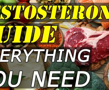 Best Testosterone Boosting Foods, Herbs, Vitamins & Things