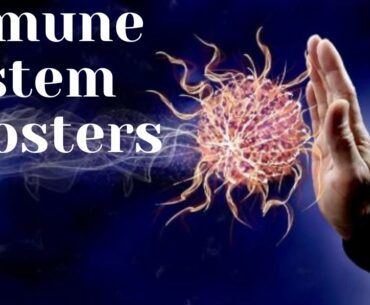 How to Boost Your Immune System / Coronavirus / COVID 19