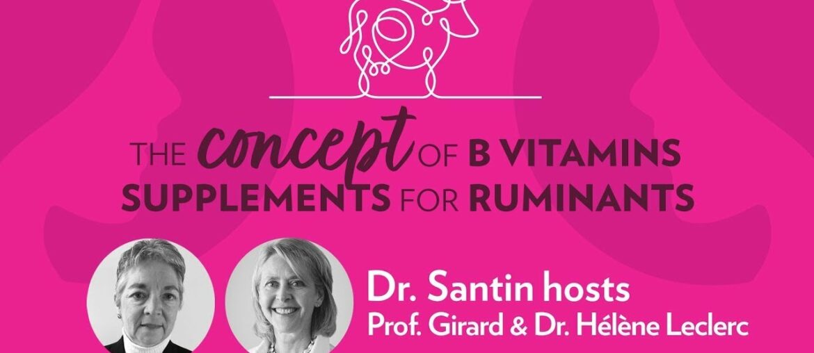 The concept of B Vitamins supplements for ruminant (EDITED)
