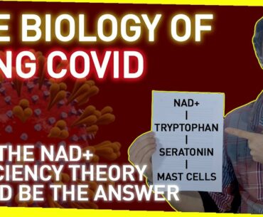 The Biology of Long Covid | Why the NAD+ Deficiency Theory Could Be The Answer