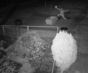 2020 12 03   Coronavirus Purge, basketball style