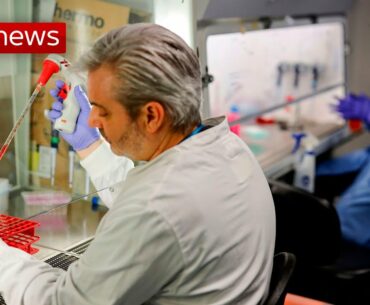 COVID-19: How a vaccine was developed so quickly