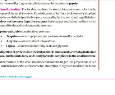 Life process 1 Nutrition  | NIOS science class X chapter 22 | Malayalam