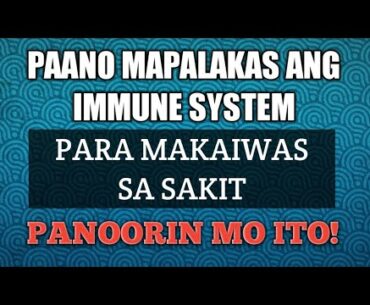 PAANO MAPALAKAS ANG IMMUNE SYSTEM PARA MAKAIWAS SA SAKIT | RenTECH PH