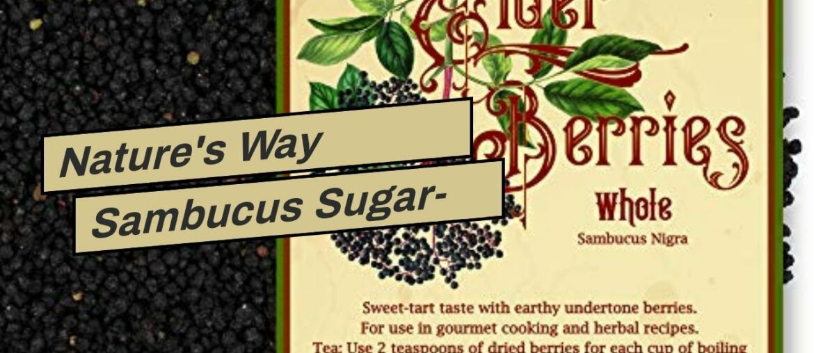Nature's Way Sambucus Sugar-Free Elderberry Syrup, Herbal Supplements, Gluten Free, Vegetarian,...