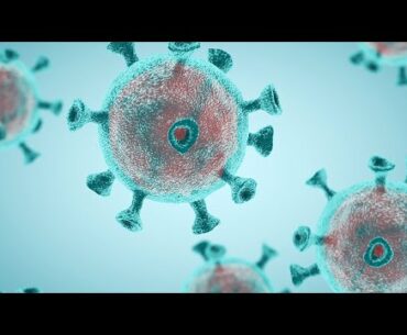 Coronavirus cases start to see post Thanksgiving surge with COVID-19 cases topping 15 million