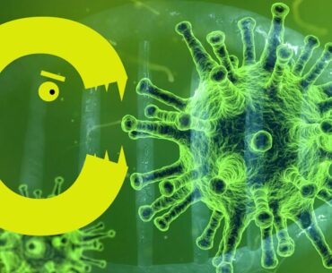 Alimentos con Vitamina C contra el CORONAVIRUS