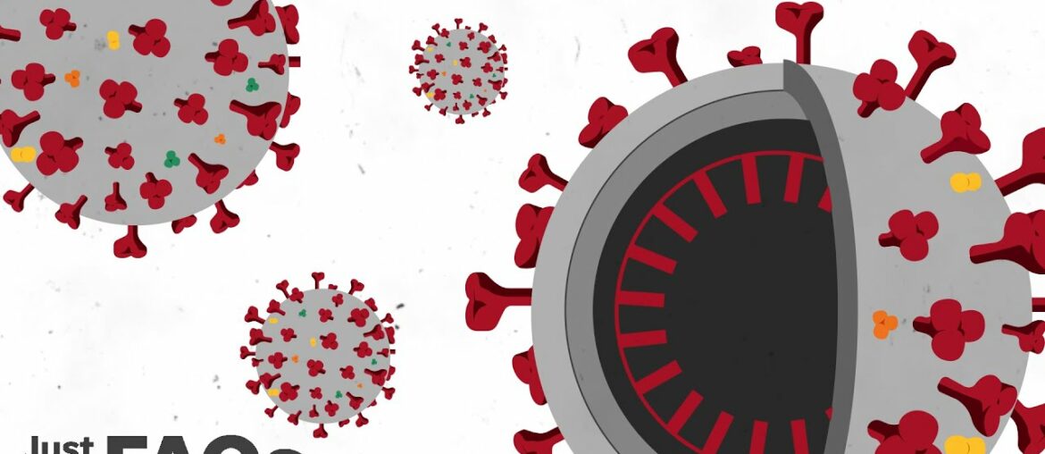 How a new type of vaccine called mRNA is changing the game to prevent COVID-19 | Just the FAQs