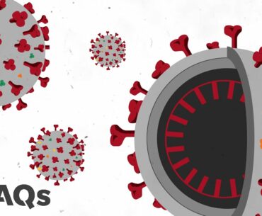 How a new type of vaccine called mRNA is changing the game to prevent COVID-19 | Just the FAQs