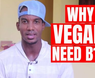 A Vegan Diet Is Healthy So Why Do We Need a Vitamin B12 Supplement?