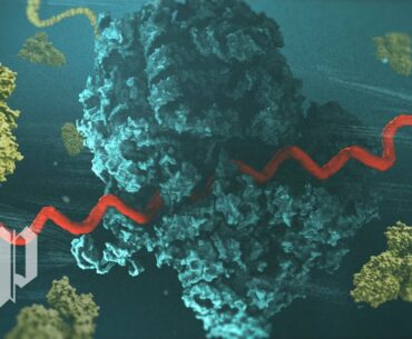How mRNA helped scientists create a covid-19 vaccine in record time