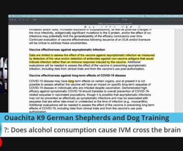 Your COVID-19 Questions Answered (Open Forum Friday December 11th 2020)