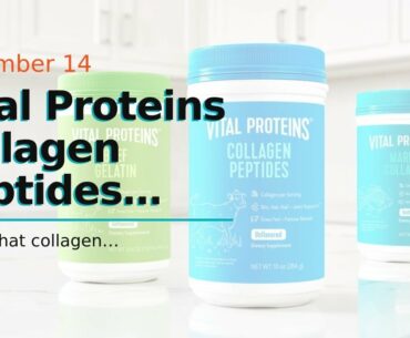 Vital Proteins Collagen Peptides Powder Supplement, Shrink-Wrapped 10oz Bundle, Hydrolyzed Coll...