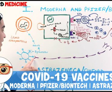 COVID-19 Vaccines: MODERNA | PFIZER/BIONTECH | ASTRAZENECA