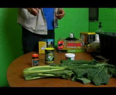 Food & Vitamins for the Russian Tortoise