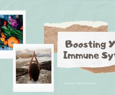 How To Boost Your Immune System | Audio | CIL