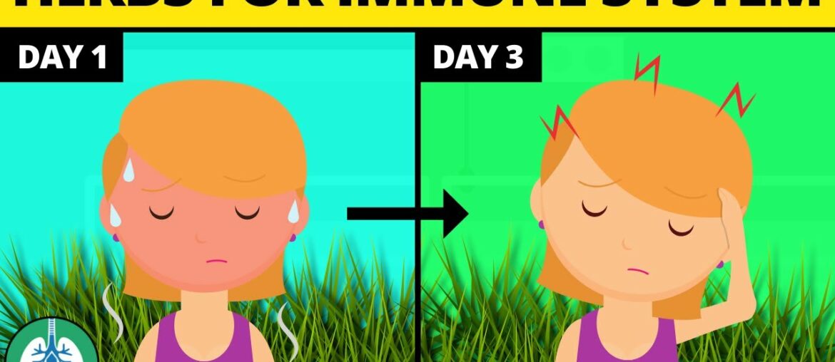 5 Herbs to Boost Your Immune System and Kill Viruses Naturally