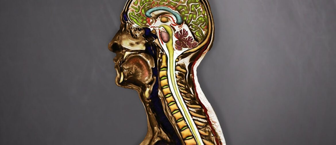 A Man Ate 100 Zinc Vitamin C Gummies Everyday. This Is What Happened To His Spinal Cord.