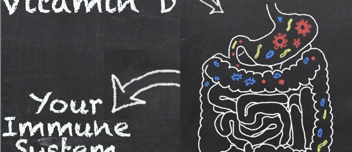 Vitamin D, Gut Bacteria & Your Immune System