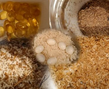 Breeding supplements from natural sources & balance diet for my all birds (kolkata lovebirds)