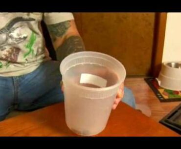 Vitamins for Tiger Salamanders