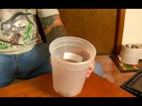 Vitamins for Tiger Salamanders