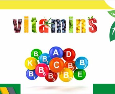 Konsep Vitamin didalam Tubuh Manusia