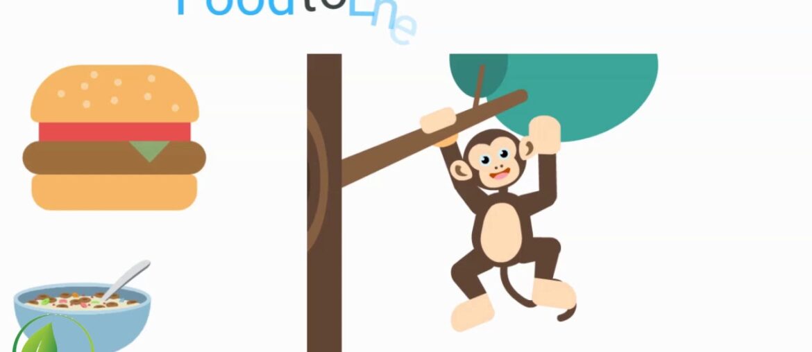 what is vitamin : Genuine vitamin | Vitamins guide your body is starving for